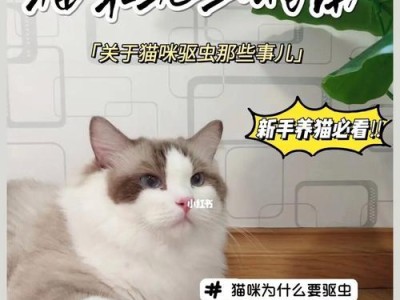 猫咪驱虫全记录——宠物健康不容忽视（以猫咪驱虫记录为例，探讨宠物驱虫重要性与方法）
