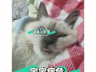 猫咪患上猫传腹，还有救吗？（了解猫传腹的症状与治疗方法，保护我们的爱宠健康。）