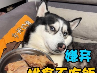 新狗狗不爱吃饭？这些方法让你轻松应对！（如何帮助新狗狗适应新环境并开始进食）