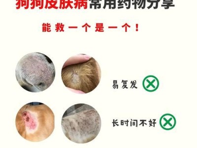 为什么狗狗会得皮肤病？（深入探究狗狗皮肤病的原因与预防方法）