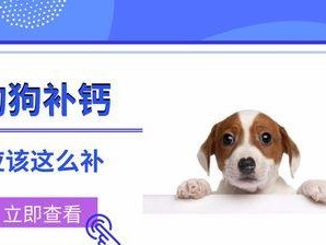 狗狗补钙，正确方法是关键！（过量或不足都很危险，做好补钙需谨慎！）