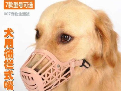 狗吃塑料（塑料对狗的食物摄入造成的健康风险及预防措施）