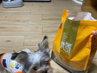 如何正确喂养两个月大的小狗（每天狗粮喂多少才合适？）