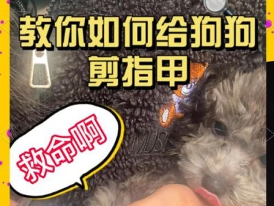 如何正确剪狗的指甲（狗指甲修剪的时间间隔及注意事项）