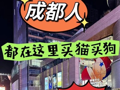 如何选择合适的猫咪作为宠物（买什么猫才是最佳选择？）
