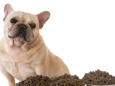 狗狗吃了饲料还叫怎么办？（解决宠物饮食问题的方法）