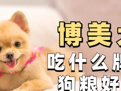 博美犬的健康饮食指南（以博美犬吃什么好为主题的饮食建议）
