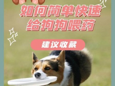 狗狗吃完饭后多久喂药？（合理安排药物喂养时间，让宠物更健康）