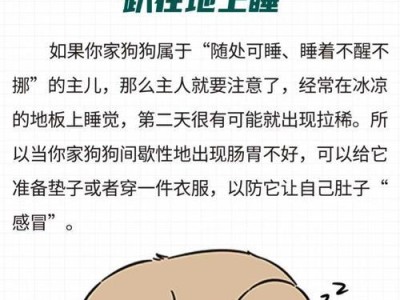 如何给狗狗肠胃病提供适宜的饮食（帮助狗狗舒缓肠胃问题，重拾健康活力）