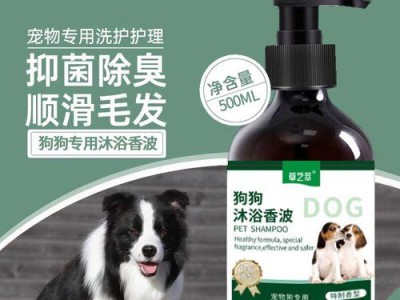 如何为萨摩耶进行驱虫？（以宠物为主，教你科学驱虫！）