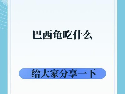 乌龟的药物治疗（了解乌龟的病症和合适的药物是保障其幸福生活的关键）