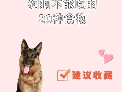 狗狗怀孕期间不能食用的食物（宠物狗怀孕期间要慎食的15种食物）