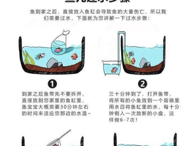 花兰寿的饲养方法（打造健康、美丽的花兰寿之路）