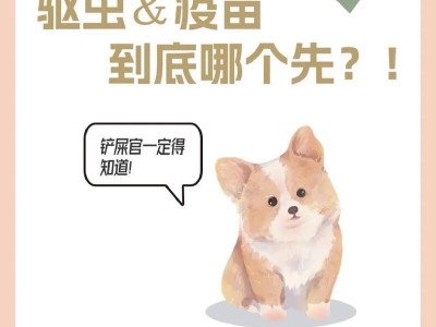 以狗驱虫的注意事项及方法（保护宠物狗健康的关键措施与建议）