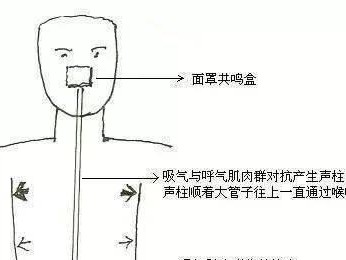 为什么有时候老长吸气？（探究老长吸气的原因及其影响）