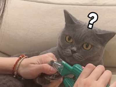 猫的爪子是如何抓住东西的？（探索猫爪机制，解析抓握力量）