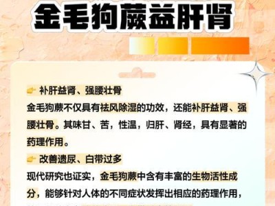 小金毛的好处（拥有小金毛，幸福加倍）
