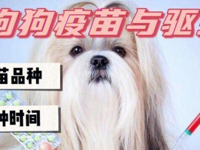 疫苗，守护你的狗狗健康（为何给狗狗打疫苗？）