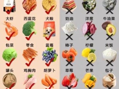 狗狗的饮食需知（了解如何科学喂养你的爱宠）