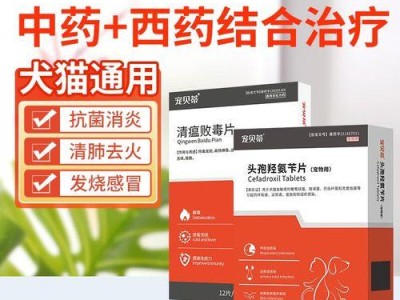 细菌皮肤病的治疗药物（选择合适的药物关键）