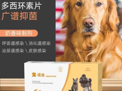 寻找适合狗狗的感冒药（选择合适的品牌来治疗你的宠物）