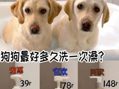 宠物狗的定期检查和保健需要（了解狗狗的健康需求以及定期检查的重要性）