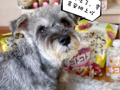 2个月大的狗狗食量与成长因素的关系（了解狗狗食量变化，科学养护宠物）