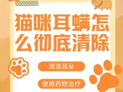 揭秘（探索猫寄生虫现象的原因及预防方法）
