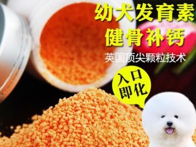 金毛狗生宝宝后的饮食需求（了解金毛狗生产后的营养需求，让它们健康成长）