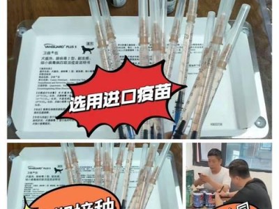 养一只85斤的拉布拉多需要多少钱？（了解养一只大型犬所需费用的关键信息）
