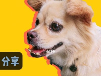 以狗验血的方法在医学领域的应用（狗作为血液检验模型的潜力探究）