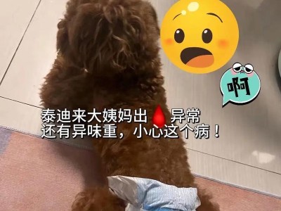 狗的月经周期与特征（了解狗的生理周期，更好地照顾你的爱宠）