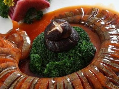 鳄鱼的美食盛宴（从图片中发现鳄鱼的食物链）