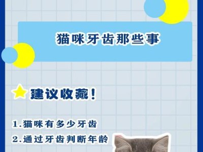 猫咪牙齿生长过程的奥秘（揭秘猫咪牙齿的成长周期及相关护理知识）