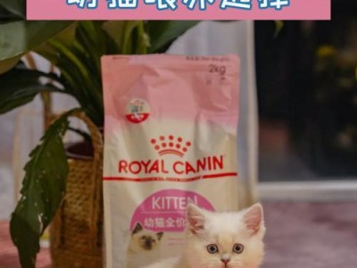 猫猫怀孕期间的营养需求与合理饮食安排（了解猫猫怀孕期间的饮食要求及注意事项）