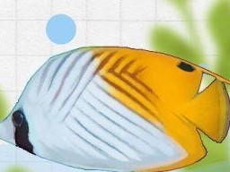 五彩琴尾鱼的饲养方法（如何照顾五彩琴尾鱼的健康成长）