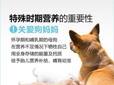 狗狗怀孕后如何催奶（了解催奶的重要性，帮助狗狗更好地哺乳宝宝）
