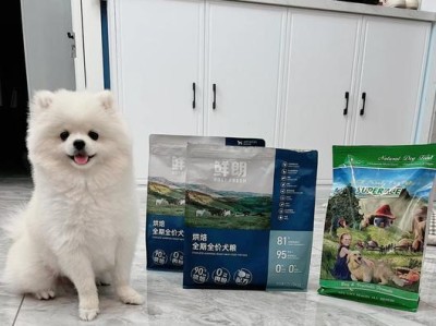 探秘博美狗一天应该喂多少狗粮？（了解正确喂养量，打造健康宠物生活）