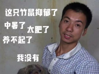竹鼠牙齿为何呈现黄色？（探究竹鼠牙齿颜色的原因和关键因素）