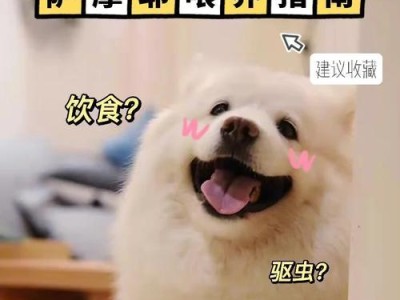 养萨摩耶的注意事项（让你的萨摩耶健康快乐成长）