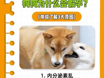 为什么狗狗会发抖？（探究狗狗发抖的原因和应对方法）