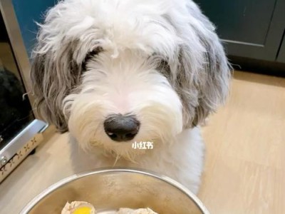 宠物狗可以食用苹果和蛋黄吗？（营养均衡的狗粮不够了？试试这些食材！）