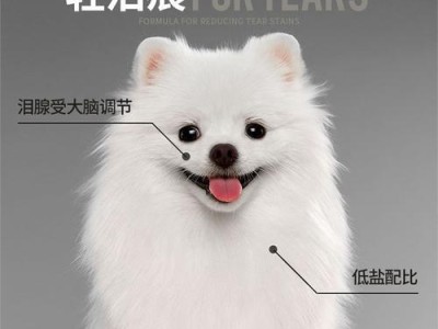 博美狗狗的合适狗粮摄入量及不消化的主要原因（了解博美狗狗的饮食需求和消化问题）