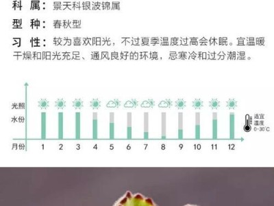 角百灵的饲养方法（打造健康活泼的宠物生活）