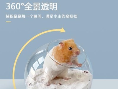仓鼠的趴尿行为与习性（探讨仓鼠为何喜欢趴尿及如何管理）