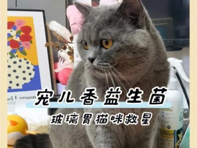 猫咪的益生菌选择（了解猫咪益生菌的种类和作用，让你的宠物保持健康幸福）