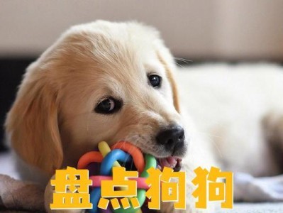 为你的女狗狗取一个好听的名字（15个让你爱不释手的狗狗名字推荐）