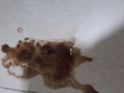 狗狗吐拉稀、呕吐、没精神，该怎么办？（以宠物为主，如何帮助狗狗恢复健康）