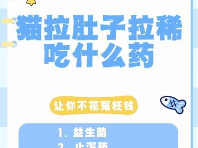小猫食物消化问题解决之道（了解为什么小猫吃什么都拉稀及应对方法）