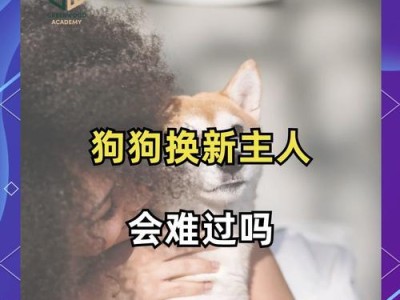 忠诚的狗类（从狗的品种来看忠诚度如何体现）